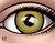 Detailed Cartoon Eye Color Selection