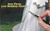 Live Wedding Painter