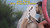 Live Wedding Painter Jess Perna