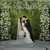 Live Wedding Artist Jess Perna