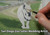 Zoo Safari Park Live Wedding Artist Jess Perna