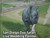 Zoo Rhino Live Wedding Artist Jess Perna