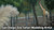 Zoo Safari Park Live Wedding Painter Jess Perna
