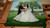 Bottom Edge of Live Wedding Painting Bottom Edge of Live Wedding Painting