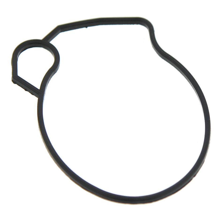 Carb Kit for Bombardier DS90 2-Stroke 2002 - 2006 Carburetor Repair Kit