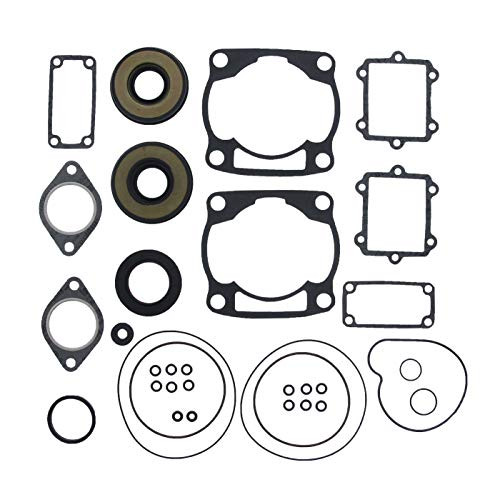 Complete Gasket Kit fits Arctic Cat ZR 600 2001 2002 by Race-Driven