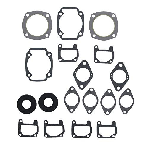 Complete Gasket Kit fits Arctic Cat Panther 400 1973 by Race-Driven