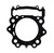 Complete Gasket Kit fits Yamaha Raptor 700 YFM700 2006 - 2025 by Race-Driven