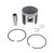 2010 - 2012 Ski-Doo Skandic 550F Tundra Piston Kit Teflon Coated by Race-Driven