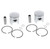 Piston Kit fits Arctic Cat Pantera 1985 - 1992 Snowmobile by Race-Driven x2