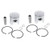 Piston Kit fits Arctic Cat Pantera 1985 - 1992 Snowmobile by Race-Driven x2