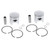 Piston Kit fits Arctic Cat Cougar 1991 - 1994 Snowmobile by Race-Driven x2