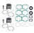 2010 2011 2012 Ski-Doo MXZ 550 TNT Piston and Gasket Kit Teflon Coated