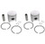 Piston Kit for Arctic Cat Panther 1986 - 1988 Snowmobile by Race-Driven x2