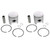 Piston Kit Arctic Cat Lynx 2000 Single 1977 - 1980 Snowmobile by Race-Driven x2