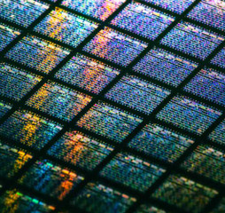 Hoarding and economic recovery