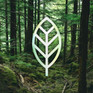 FSC Certification || Glass Elite Privacy 360 recyclable packaging has been certified by FSC, an organization working to protect healthy forests.
