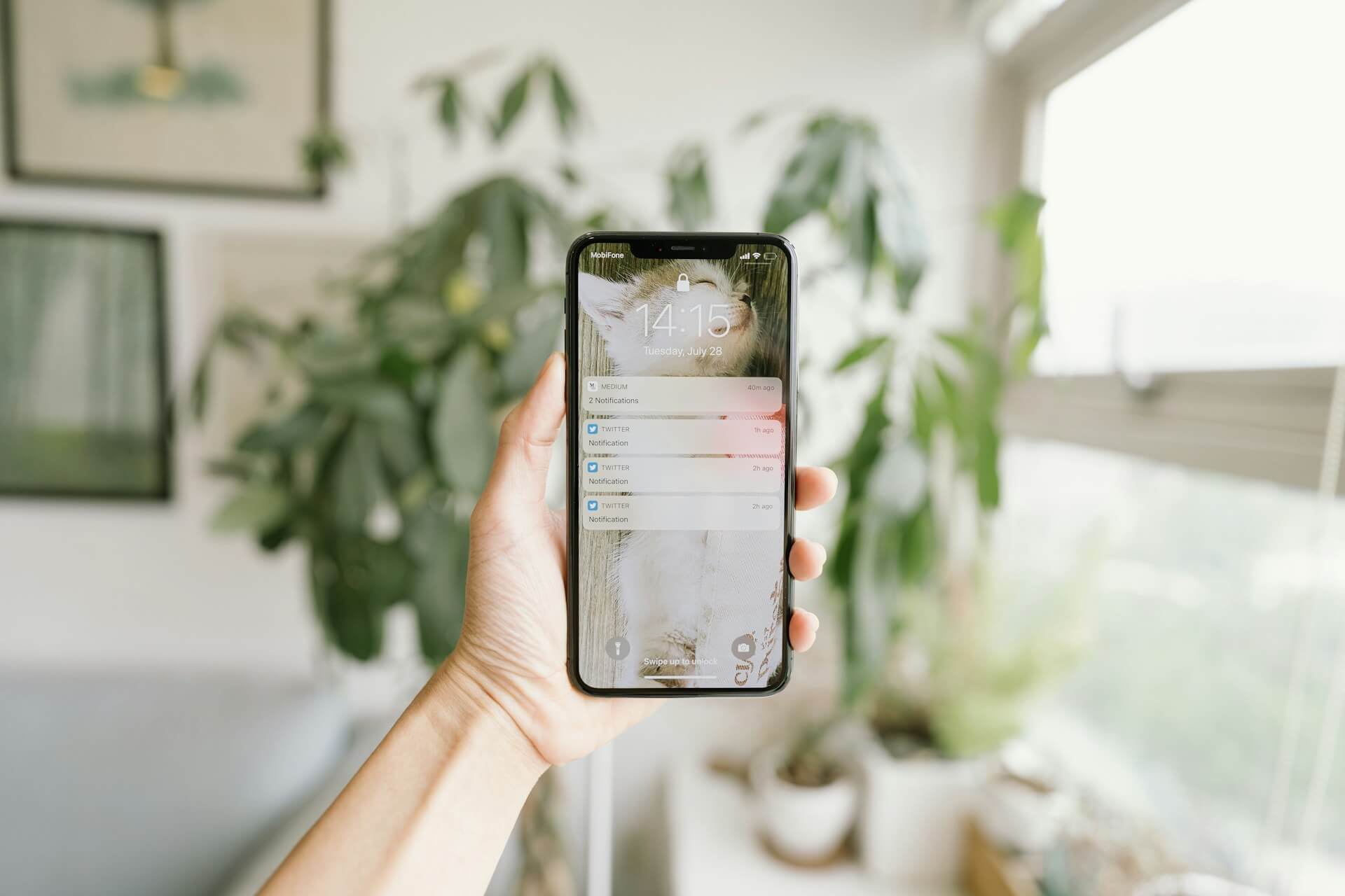 a person holding up a phone with a cat wallpaper