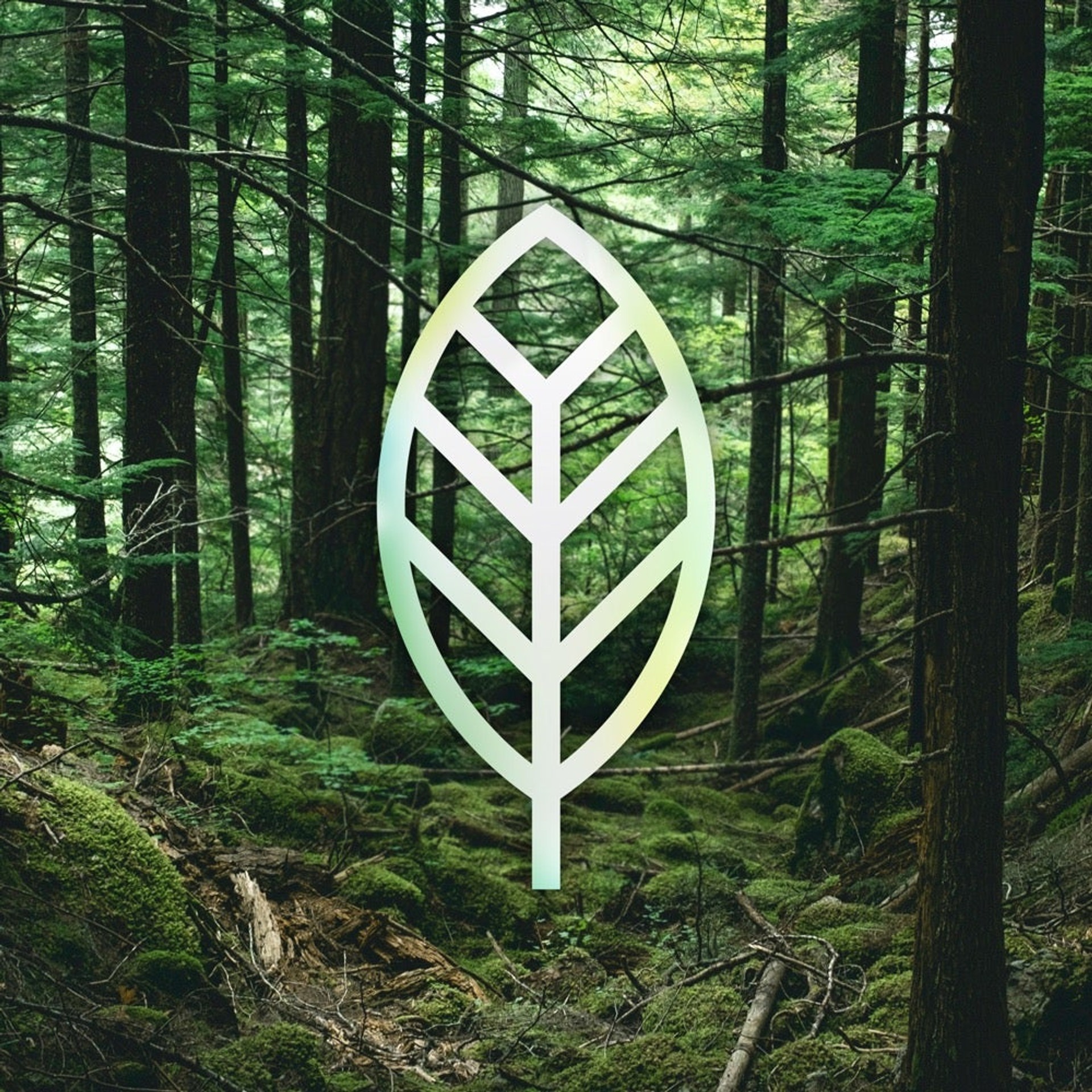 FSC Certification||
FSC, an organization working to protect healthy forests, certified Glass Elite Privacy with its recyclable packaging made from recycled materials.