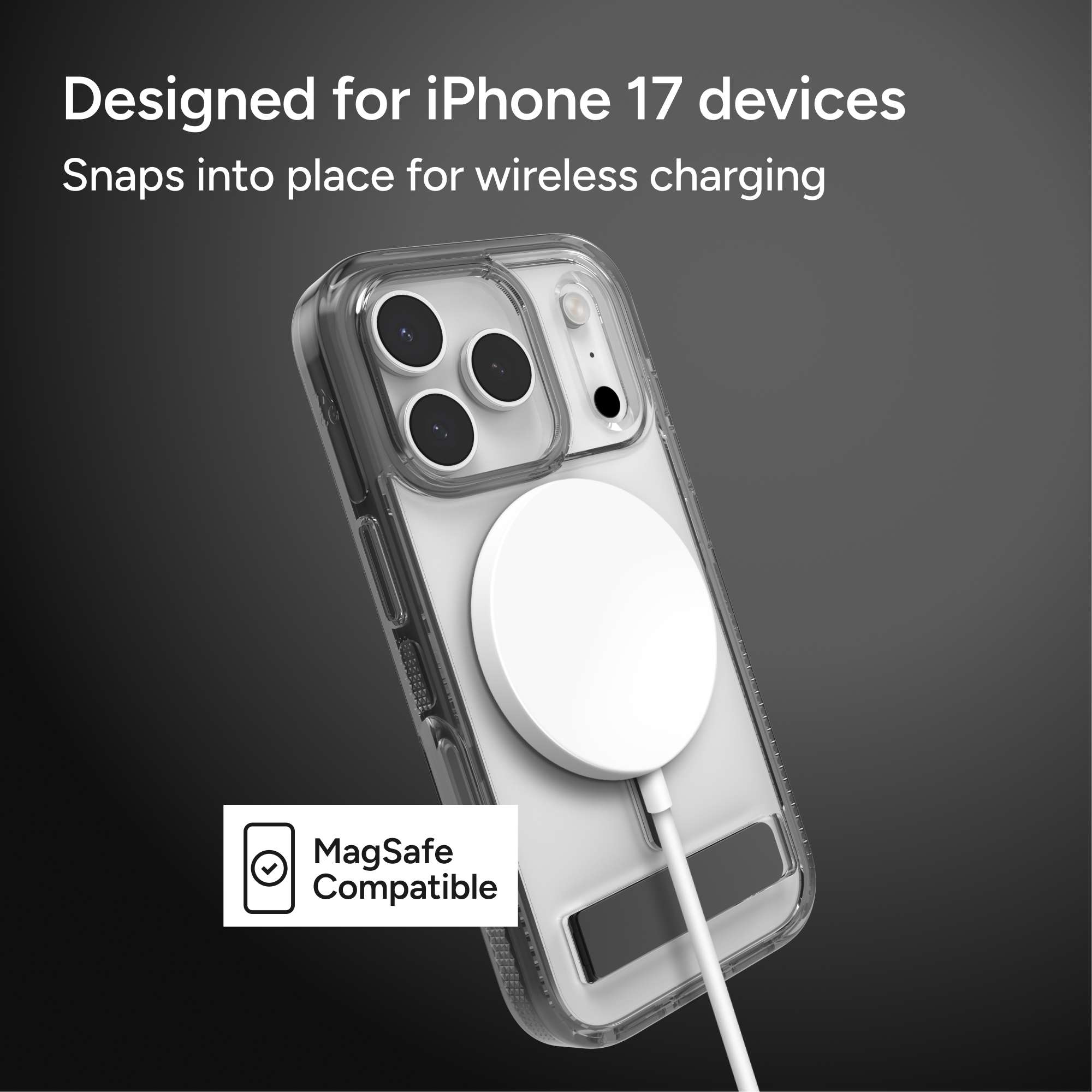 Santa Cruz Snap for MagSafe iPhone 17 Pro Phone Case with Stand