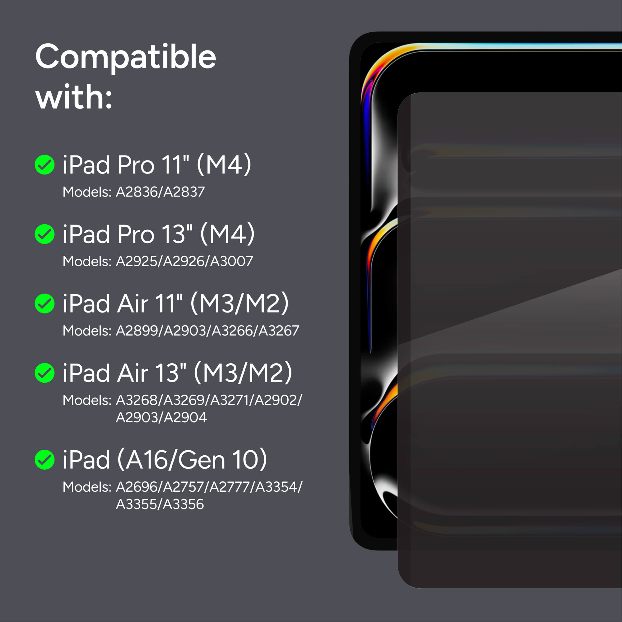 Removable Privacy Filter Apple iPad Air 11