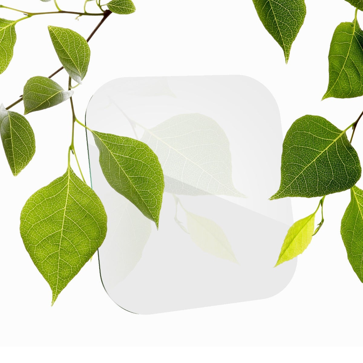 как выглядит ZAGG InvisibleShield Ultra ECO for Apple Watch Series 7 Series 8 Watch Size: фото