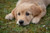 test product image