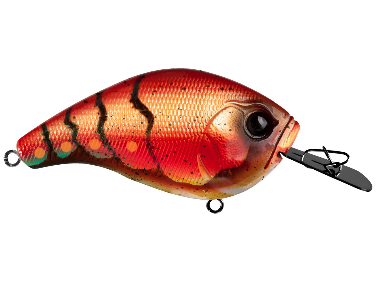 Featured Bait: 13 Fishing Jabber Jaw Hybrid Squarebill Crankbait