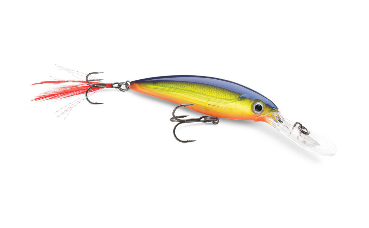 Rapala X-Rap Deep 10 Deep Diving Jerkbait Bass Fishing Lure — Discount  Tackle