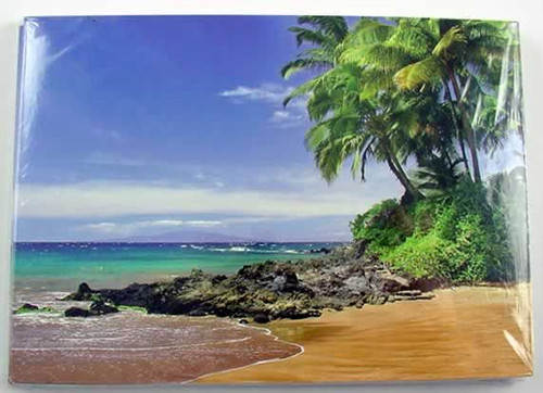 Palm Tree Note Card "Luscious Palms" - GC342