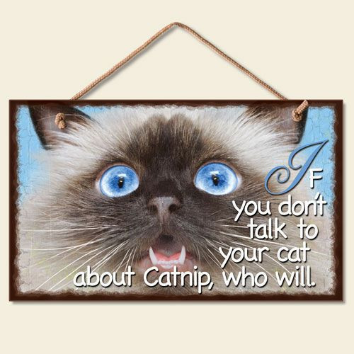 Cat Wood Sign "Talk About Catnip" - 41-364