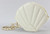 Ivory Seashell Purse 45135
