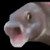 Ethan