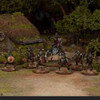 Classic Fantasy: Goblin Warband