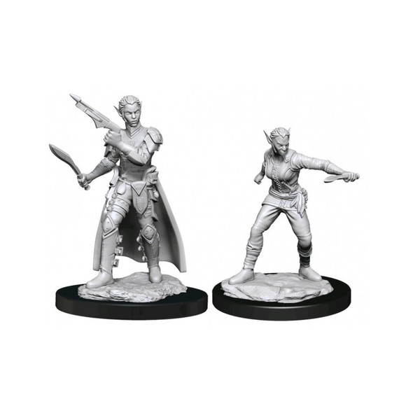 Shifter Rogue  Dungeons and Dragons Nolzur's Marvelous Unpainted Miniatures