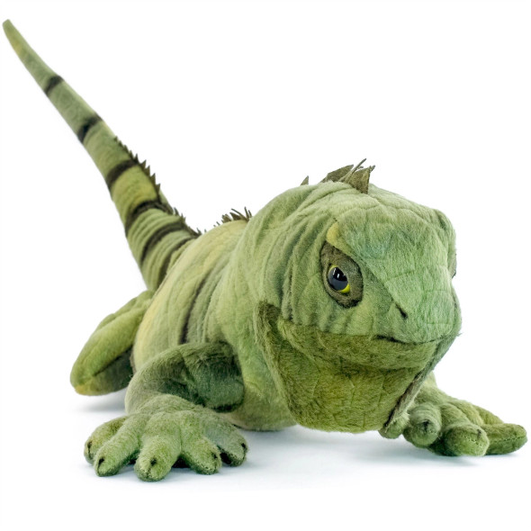 Igor the Iguana