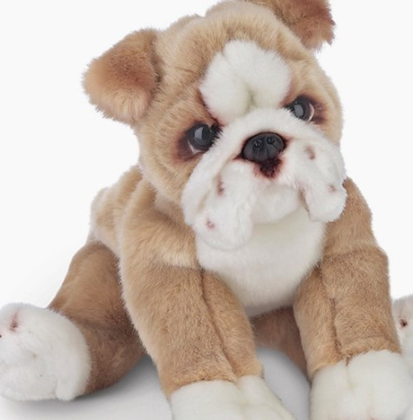 Tug the Bulldog