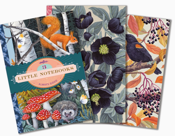 Vasilisa Little Book Set