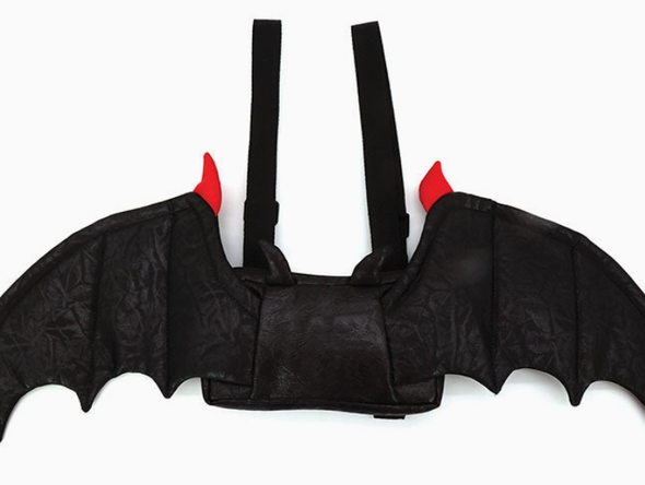 Bat Wing Backpack