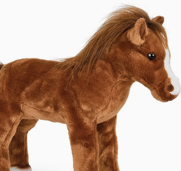 Blaze the Brown Horse