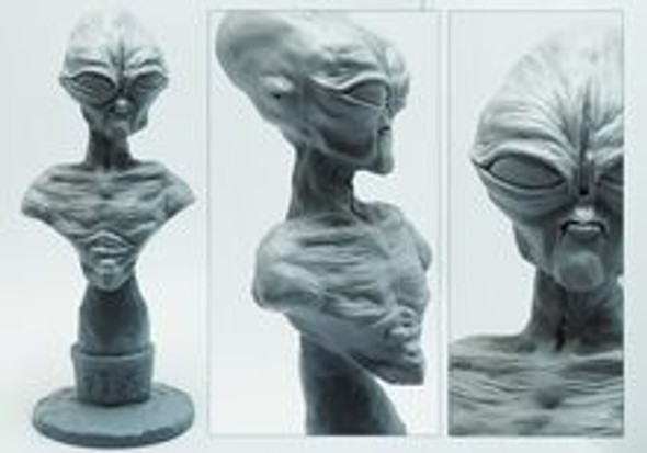 Bust - Space Flesh Grey Visitor