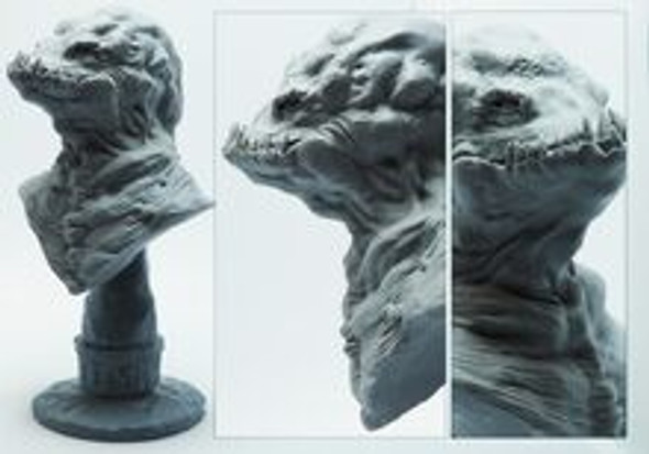 Bust - Space Flesh R-051 Project
