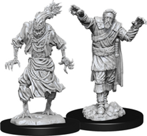 Dungeons & Dragons Nolzur`s Marvelous Unpainted Miniatures:W14: Scarecrow and Stone Cursed