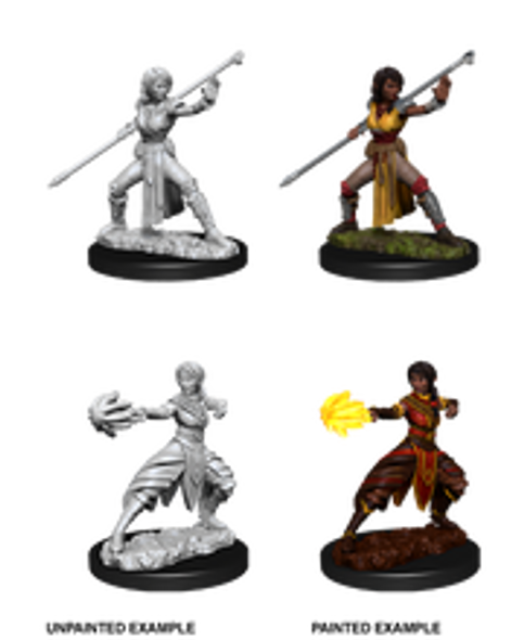 Half Elf Monk Female with Staff  Dungeons and Dragons Nolzur's Marvelous Unpainted Miniatures Half Elf Monk Female with Staff  Dungeons and Dragons Nolzur's Marvelous Unpainted Miniatures