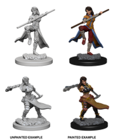 Female Human Monk with Weapons Dungeons & Dragons Nolzur`s Marvelous Unpainted Miniatures