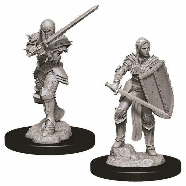 Female Human Fighter with Sword & Shield and 2-Handed Sword - Nolzur's Marvelous Miniatures