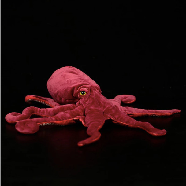 Octopus, Red