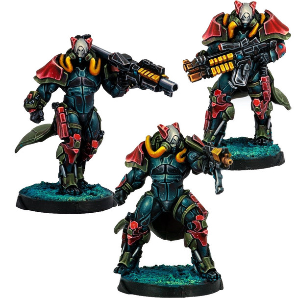 Infinity: Rodoks, Armed Imposition Detachment - Combined Army