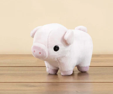 Piggi the Pig