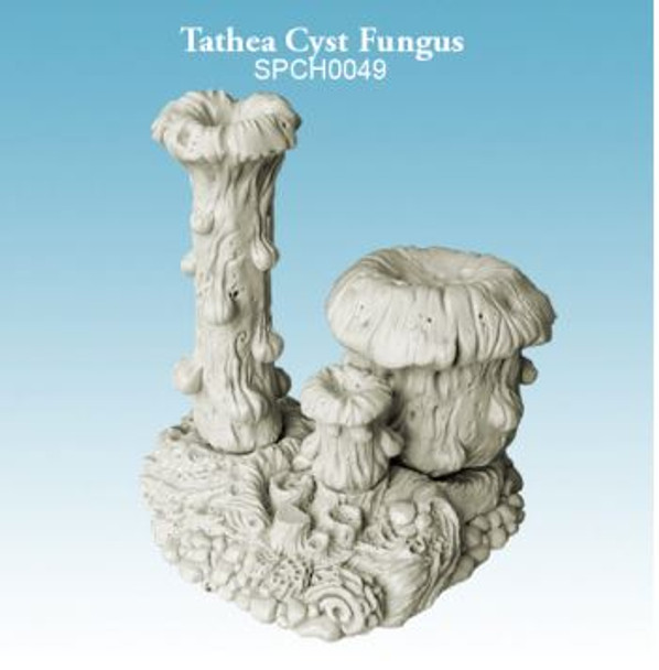 Tathea Cyst Fungus